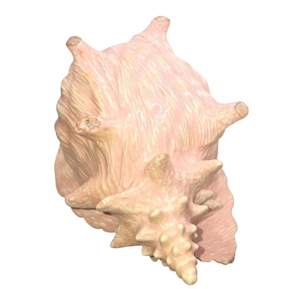 Vintage Atlantic Mold Pink Conch Shell Planter Ceramic 1970s Coastal Decor